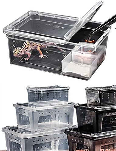 Miraculous Joy Portable Reptile Terrarium Habitat Reptile Hatching Container for tarantulas geckos crickets snails hermit crabs frogs lizards baby tortoise and snakes (Medium, Black)