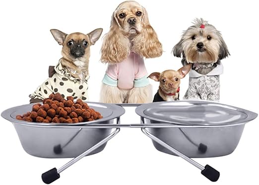 accesorios para perros amazon