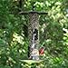 Perky-Pet 735 The Preserve Wild Bird Feeder