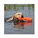 Avery Sporting Dog 3in HexaBumper Trainer,Orange