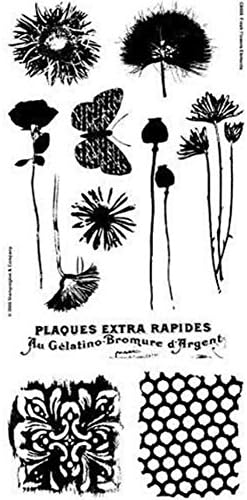 Stampington &amp; Co Fresh Flowers Cling Rubber Stamp Set C8466 Garden Blooms