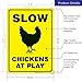 Chicken Crossing Sign, Slow Chickens at Play Sign, Chicken Coop Sign Funny, 10x14 Rust Free Aluminum, Weather/Fade Resistant, Indoor/Outdoor Use, Made in USA by SIGO SIGNS