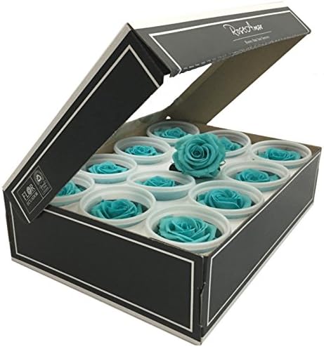 KIKA DECO Preserved Roses Head Pack (Small 12 Pack, Tiffany)