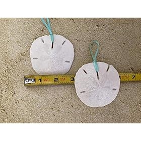 Beach Seashell and Starfish Christmas Tree Ornament Package (Standard Seashell Package) 51hAfY%2BKHqL