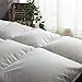 Globon Fusion White Goose Duvet Insert Queen Heavywarmth Winter, 50OZ, 650 Fill Power, 100% Cotton Shell, 300 Thread Count, Hypoallergenic with Corner Tabs, White