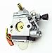 C1Q-S173 Carburetor STIHL FR130T FS110 FS130 FS130R HT130 HT131 KM130 K130R 4180-120-0610