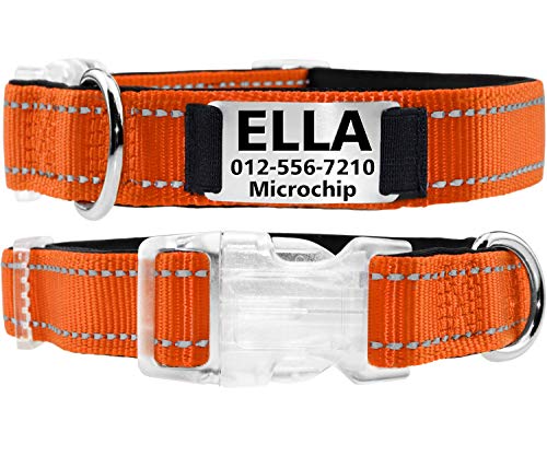 Taglory Personalized Dog Collar with Nameplate, Custom Engraved Pet ID Tags No Noise,Reflective Training Collars for Small Medium Large Dogs,Orange