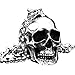PAURO Men's Large Heavy Gothic Biker Skull Pendant Necklace Punk Rock Stainless Steel Silver Black Vintage