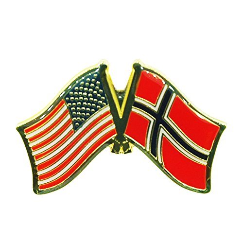 USA & Norway Flag Pin