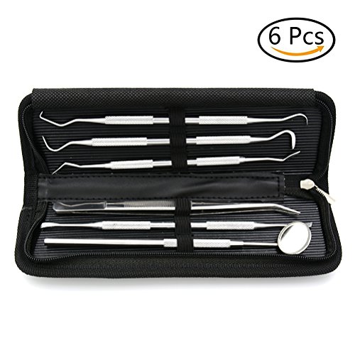 1 Set/6 Pcs Professional Dental Hygiene Kit with Bag for Personal Use Tooth Scraper Dental Inspection Mirror Tartar Calculus Plaque Remover