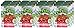 Brothers All Natural Fruit Crisp Strawberry 0.26 Ounce (Pack of 12)