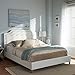 Baxton Studio BBT6376-White-Queen Bed with Upholstered Headboard, Queen, White