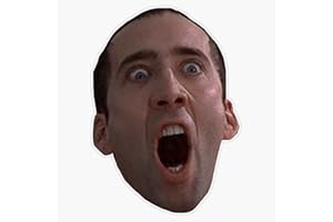 VISION GRAPHICS Magnet Nick Cage Magnet Vinyl Decal Sticker 5"