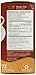 Tea India Masala Chai Tea, 72 Tagless Tea Bags, 5.8-Ounce Boxes (Pack of 12)