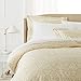 Amazon Brand – Pinzon Paris Printed Egyptian Cotton Sateen Duvet Set - Full or Queen, Eggshell