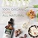 Ebanel 1oz/30ml Organic Moroccan Argan Oil, 100% Pure Natural Cold Pressed Hair Oil and Face Skin Moisturizer for Dry Frizzy Hair, Anti-Aging, Skin Hydration Non-Oily Treatment for Men & Women