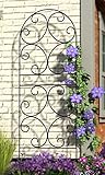 Panacea Scroll Trellis, Black, 72