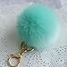 Amiley Fluffy Faux Rabbit Fur Ball Charm Pom Pom Car Keychain Handbag Wallet Backpack Key Ring (Green)