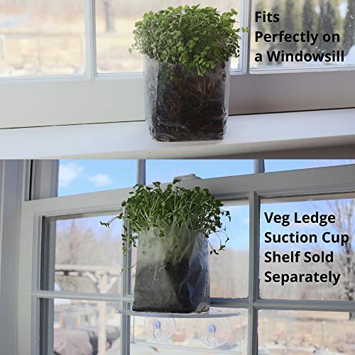 Pop Up Microgreens Kit (Broccoli) - Just Add Water and Seed. Perfect Size, a Quick, Smart, Nutritious Meal. Includes Fiber Soil in a Bag, Broccoli Seed. Super Health Benefits, Easy Grow/Delicious. - Thumbnail 3