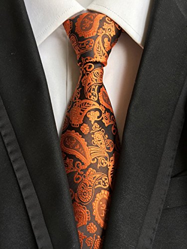 WeiShang Lot 6 PCS Classic Men's 100% Silk Tie Necktie Woven JACQUARD Neck Ties, Style 9, Medium - Thumbnail 6