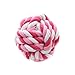 RCR Petz 5 Piece Bundle of Hand Picked Premium Dog Rope Chew Toys, Promotes Healthy Chewing While Keeping Your Petz Occupied and Entertained, Best for Small to Medium Dogs, Great for Teething Puppies