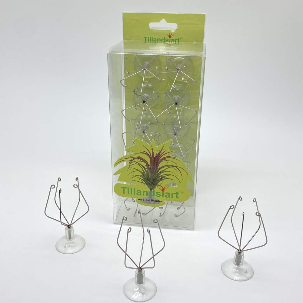 Photo 1 of Tillandsiart 10 Pack Vertical Air Plant Holder (Suction Cup, Stainless Steel Tillandsia Air Plant Planter) A Unique Set of Air Plant Containers for Creating Tillandsia Art Display on Window. (Medium)