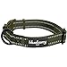 Blueberry Pet 3M Reflective Adjustable Classic Solid Color Dog Collar, 8 Colors, Matching Leash Available Separately
