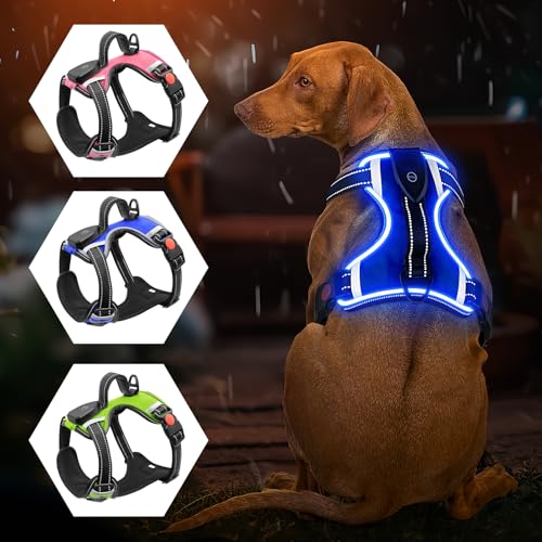 Harnais lumineux pour chien - Anti-traction - LED rechargeable - Harnais lumineux pour chien de petite, moyenne et grande taille (bleu, M)