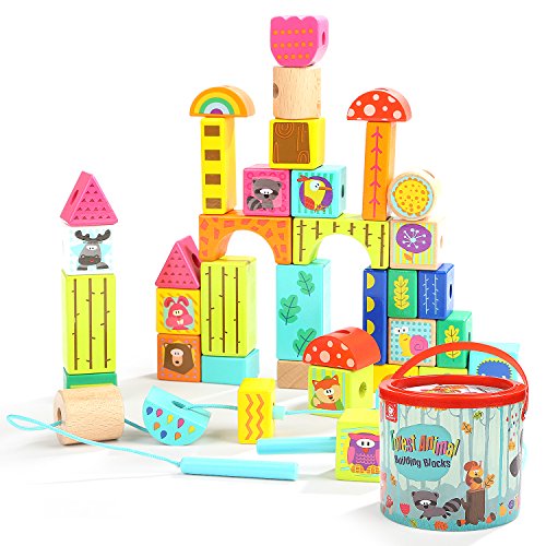 TOP BRIGHT Wooden Building Blocks Set, Gifts for 2 3 Year Old Boys Girls, Educational Toys, Colored Animal Blocks Lacing Beads, 38 Pieces