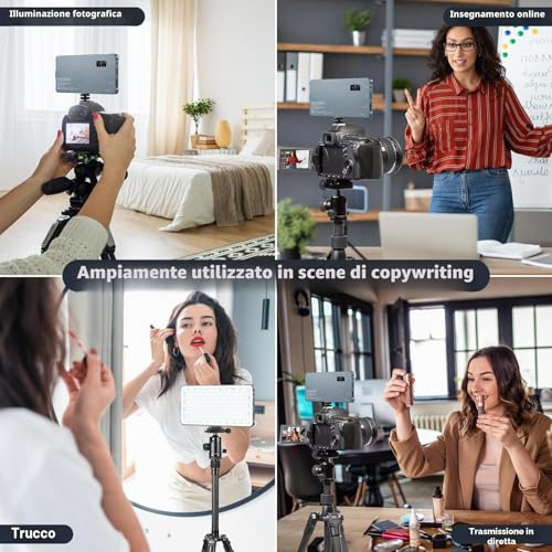 ENEGON 4000 mAh LED Video Light 2500K-9900K Two-Tone Mountable USB Rechargeable with Mini Panel for Professional DSLR Cameras Photo Lighting