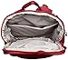 Pacsafe Citysafe CS300 Anti-Theft Compact Backpack, Cranberry