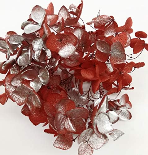 そらプリ プリザーブドフラワー アジサイ 花材 小分け レッドシルバー アナベル 激安特価品 そらプリ プリザーブドフラワー アジサイ 花材 小分け レッドシルバー アナベル 激安特価品