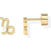 PAVOI 14K Gold Plated 925 Sterling Silver Posts Zodiac Sign Flat Back Earring Studs | Birthday Gift for Women | Astrology Earring Pair