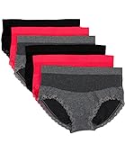 Barbra 6 Pack Women's Plus Size Sexy Fishnet Seamless Briefs