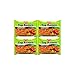 Nissin Instant Ramen Noodles Variety Pack 5 Flavors by Variety Fun (20 Count)