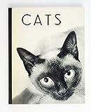 Cats by 