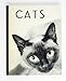 Cats by 