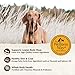 Wellness CORE Dry Dog Food, Grain-Free, High Protein, Natural, Wild Game Duck, Lamb, Wild Boar, & Rabbit Recipe, (12-Pound Bag)