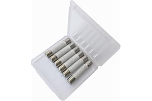 WELCAPAC 6 PCS 5304509451 Microwave Slow-Blow Fuse Ceramic Fuse 20 Amp 250V/125V for GE WB27X10388 and Whirlpool Kenmore KitchenAid, Jenn-Air, Amana and Magic Chef Other Microwaves