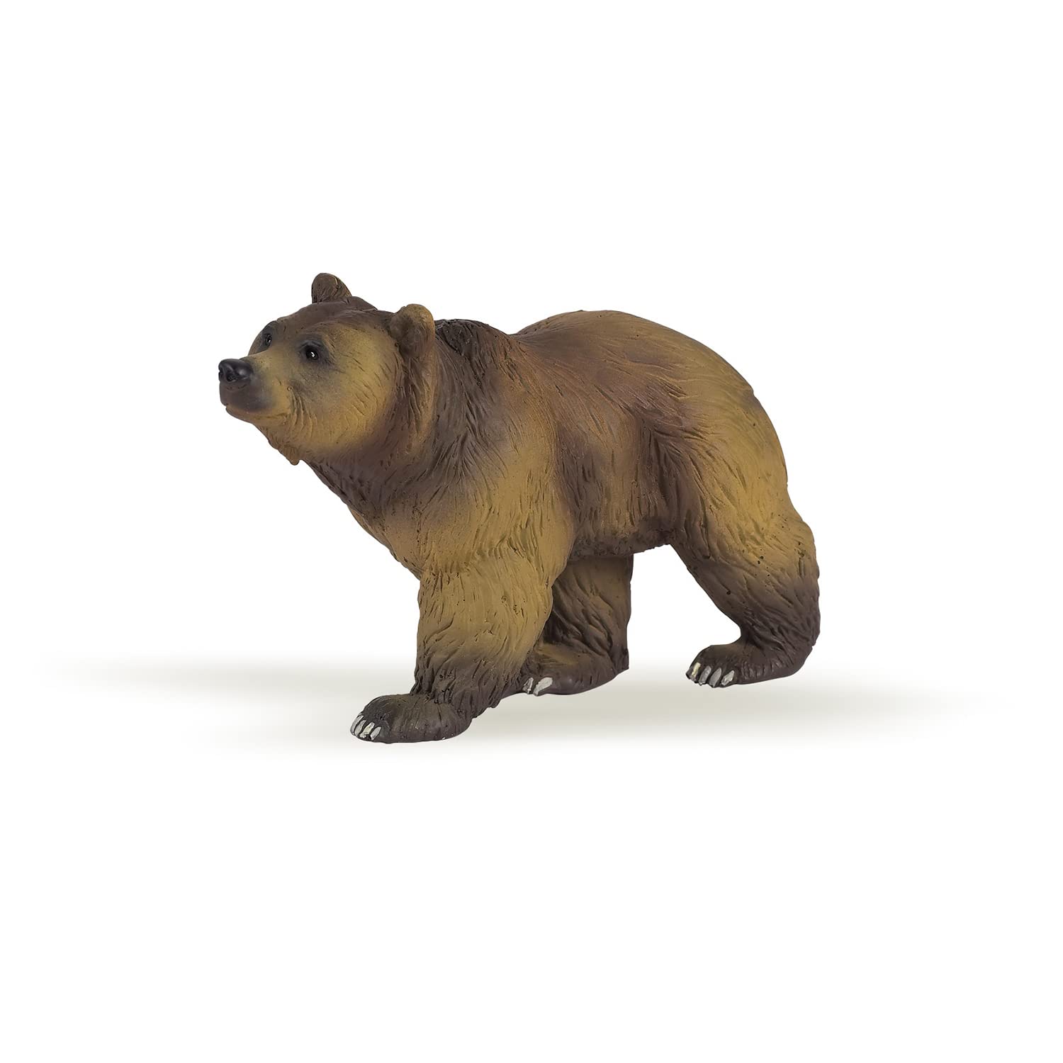Papo - Realistic Pyrenean Bear Figure - Ages 3+ - Wild Life Collection - Educational Play Forest Animals - Gift Idea Toy for Girls and Boys - 11 Cm X 4 Cm X 6 Cm