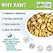 I and love and you Stir & Boom Dehydrated Freeze Dried Raw Dog Food, Lamb, 1.5-Pound Bag