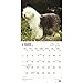 Old English Sheepdogs - 2017 Calendar 12 x 12in