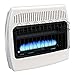 Dyna-Glo BF30PMDG 30,000 BTU Liquid Propane Blue Flame Vent Free Wall Heater