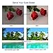 Projector, WiMius Portable 3600Lx Video Projector LED with Dual HiFi Speakers 50000 Hours Support HD 1080P HDMI/VGA/AV/USB, Laptop/TV Box/DVD/Phone/PS4 for Home Theater Movie Gaming Entertainmentthumb 2