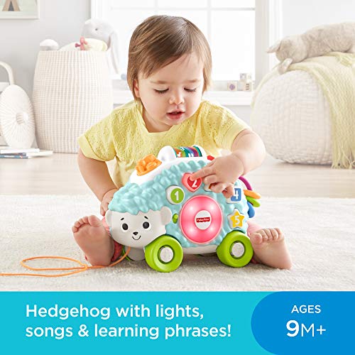 Fisher-Price-Linkimals-Happy-Shapes-Hedgehog-Interactive-Educational-Toy-with-Music-and-Lights-for-Baby-Ages-9-Months-Up-Multi-Color