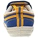 Volley Canvas International