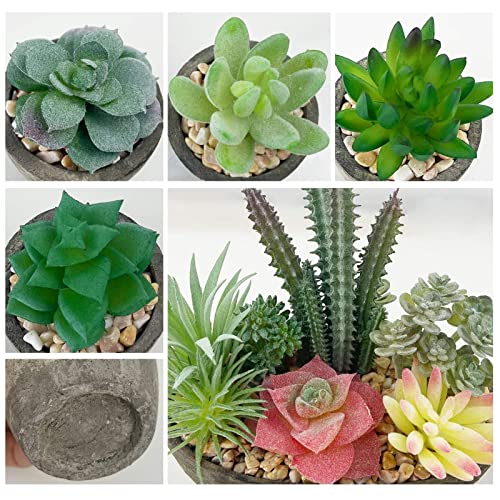 Succulents Plants Artificial Set of 5, Realistic Fake Succulents with