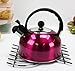 Stainless Steel Tea Kettle - Hot Pink
