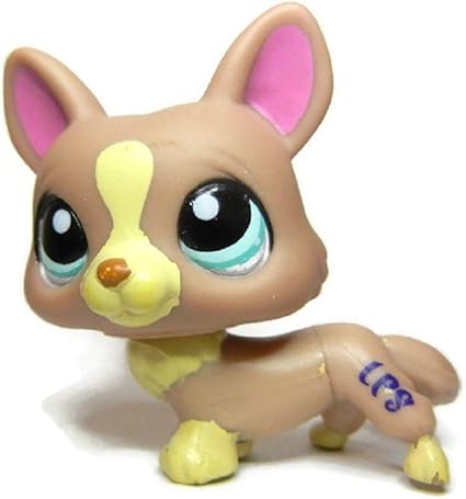 lps corgi