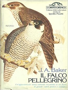 Amazonit Il Falco Pellegrino J A Baker Libri